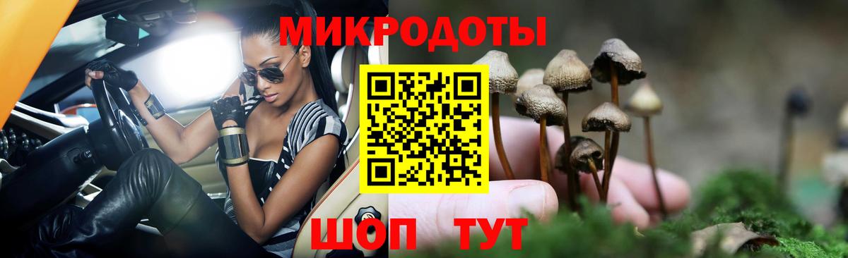 Псилоцибиновые грибы Cubensis Тихвин