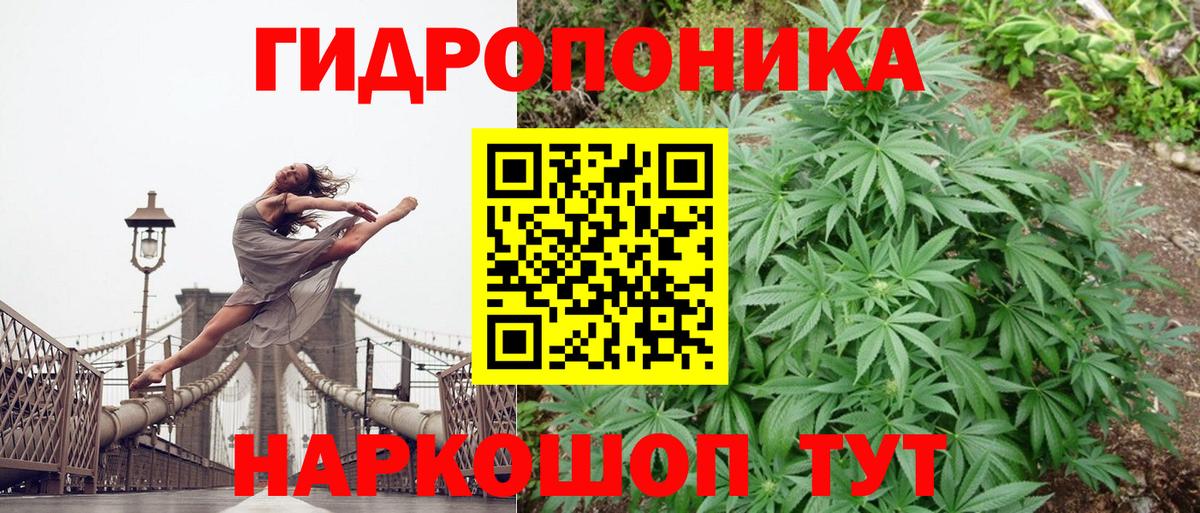 Конопля марихуана Тихвин